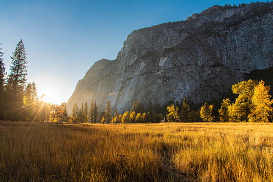 Yosemite National Park