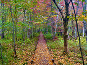 Acadia National Park