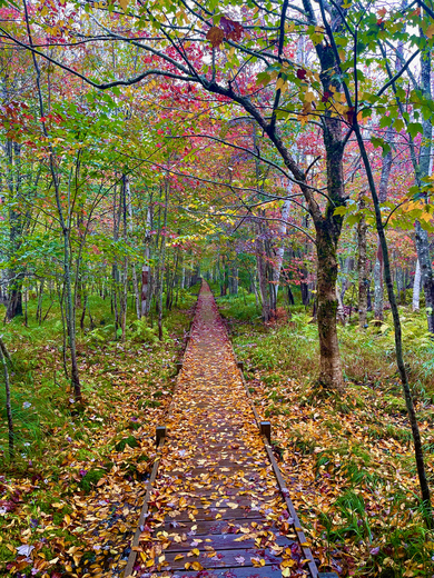 Acadia National Park