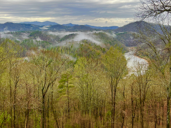 Nantahala National Forest