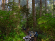Olympic National Park