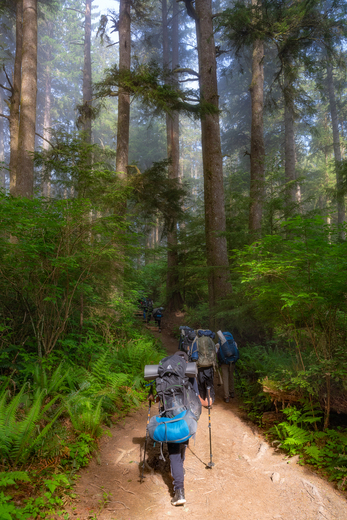 Olympic National Park