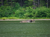 Glacier National Park