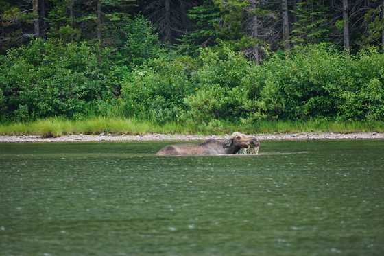 Glacier National Park