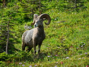 Glacier National Park