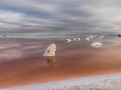 San Francisco South Bay Salt Pond