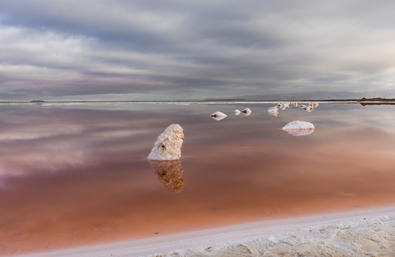 San Francisco South Bay Salt Pond