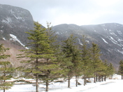 White Mountains National Forrest