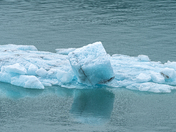 Glacier Bay National Park & Preserve