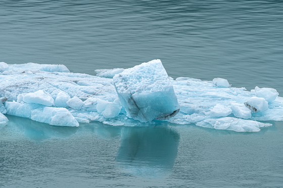Glacier Bay National Park & Preserve
