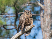 St. Marks National Wildlife Refuge