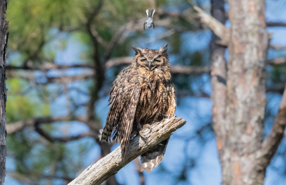 St. Marks National Wildlife Refuge