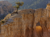 Bryce Canyon National Park
