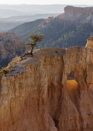 Bryce Canyon National Park