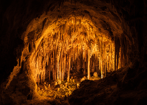Carlsbad Caverns National Park