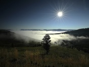 Yosemete National Park