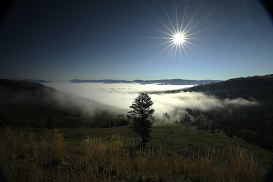 Yosemete National Park