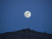 Saguaro National Park West