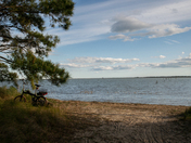 Assateague Island National Seashore