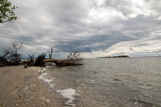 Assateague Island National Seashore