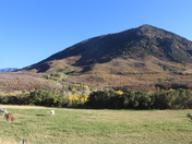 Gunnison National Forest