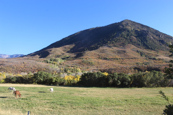 Gunnison National Forest