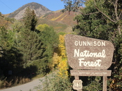 Gunnison National Forest