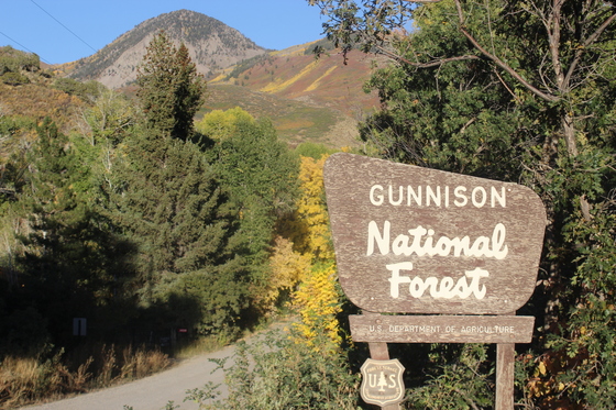 Gunnison National Forest