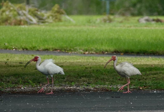 Everglades National Park