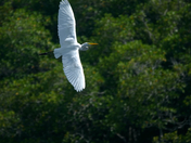 Everglades National Park