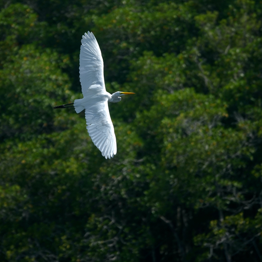 Everglades National Park