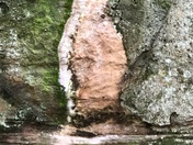 Cuyahoga Valley National Park