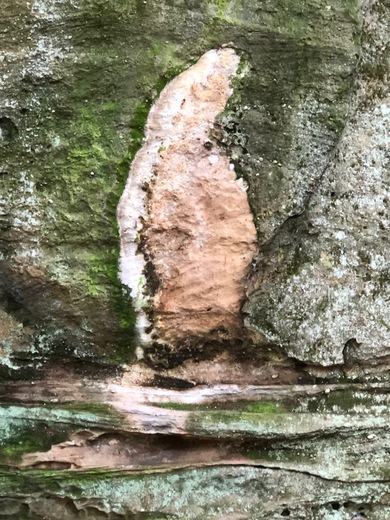 Cuyahoga Valley National Park