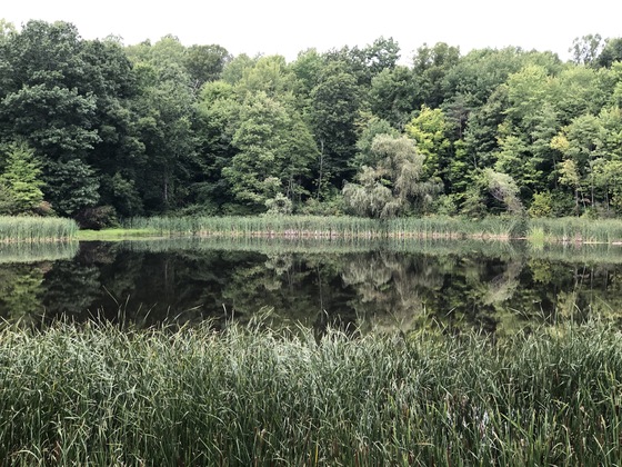 Cuyahoga Valley National Park
