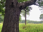 Indiana Dunes National Park