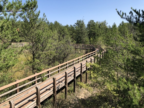 Indiana Dunes National Park
