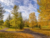 Cochrane In The Fall