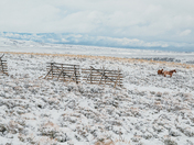Bridger Teton National Forest