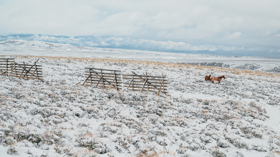 Bridger Teton National Forest