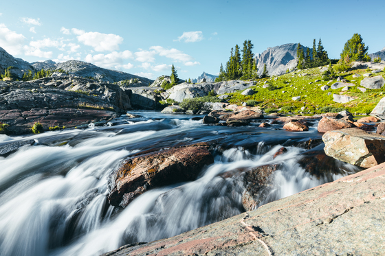 Bridger Teton National Forest