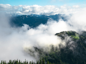 Olympic National Park