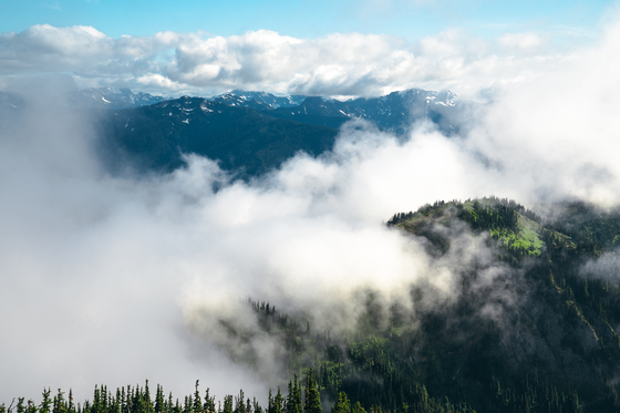 Olympic National Park