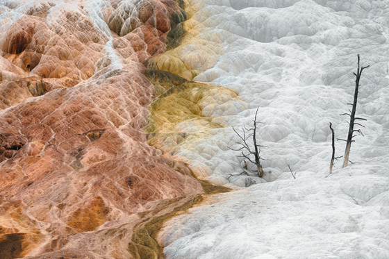 Yellowstone National Park
