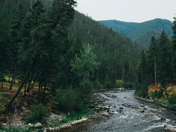 Lolo National Forest