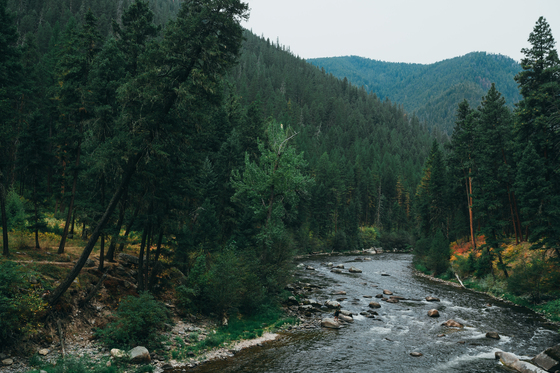 Lolo National Forest