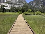 Yosemite National Park
