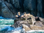 Kenai Fjords National Park