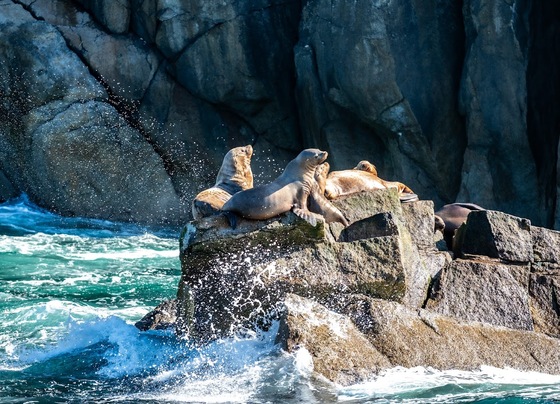 Kenai Fjords National Park