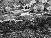 Kenai Fjords National Park