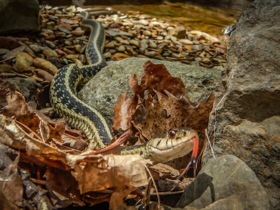 James River Face Wilderness